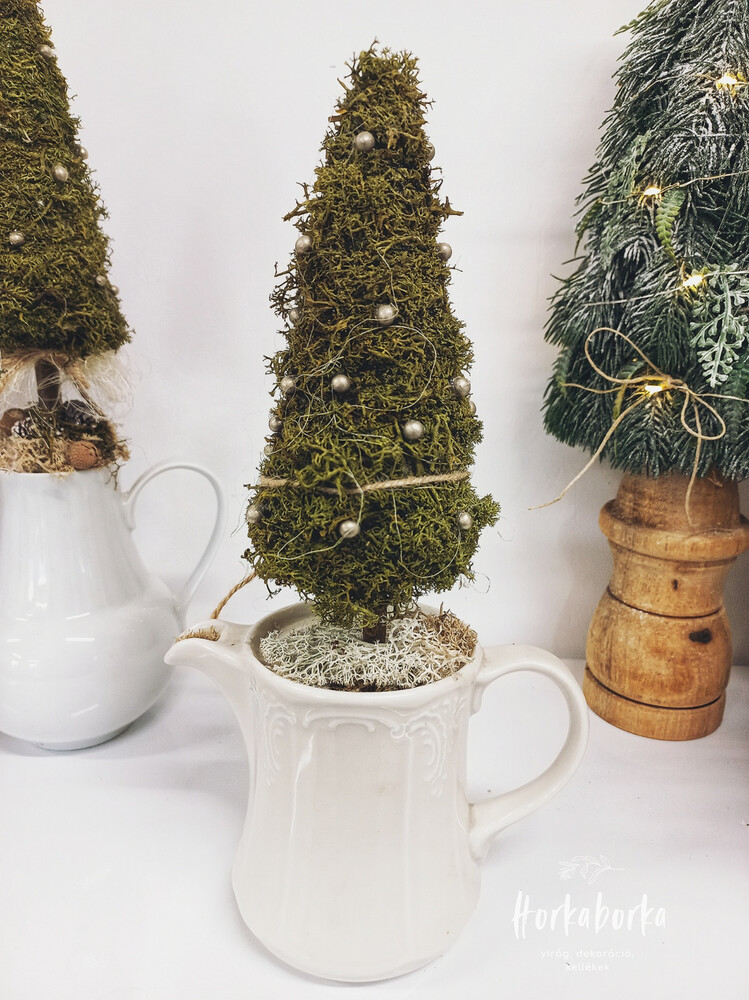 Fenyőfa kancsóban 1.